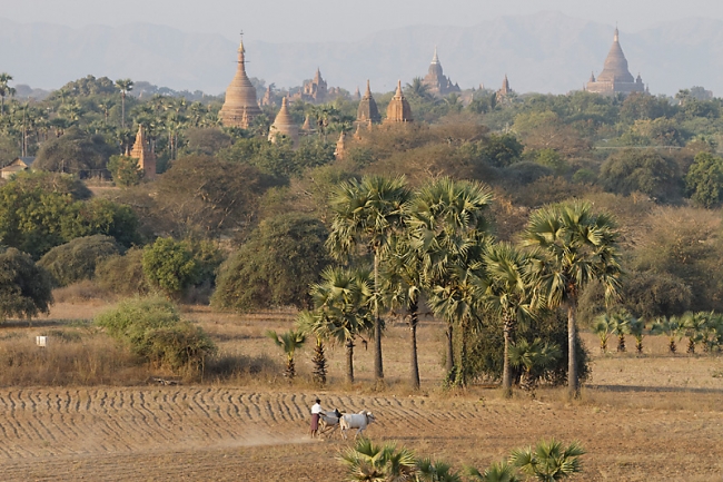 Pagan-lever de soleil-074